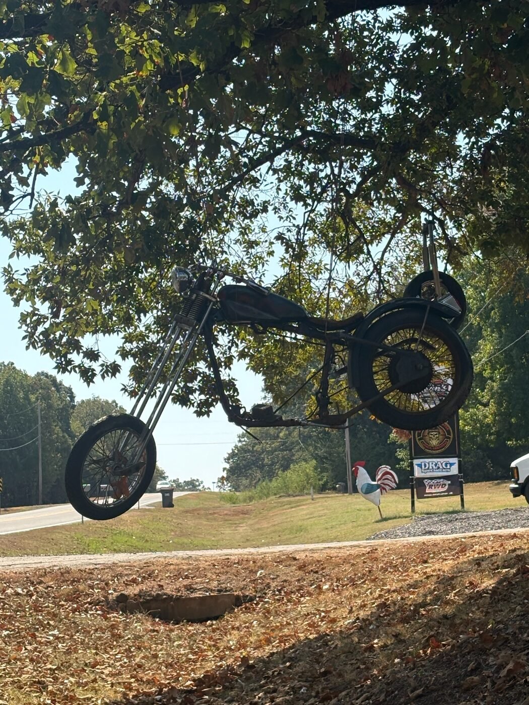 Motorcycle displayed in a tree